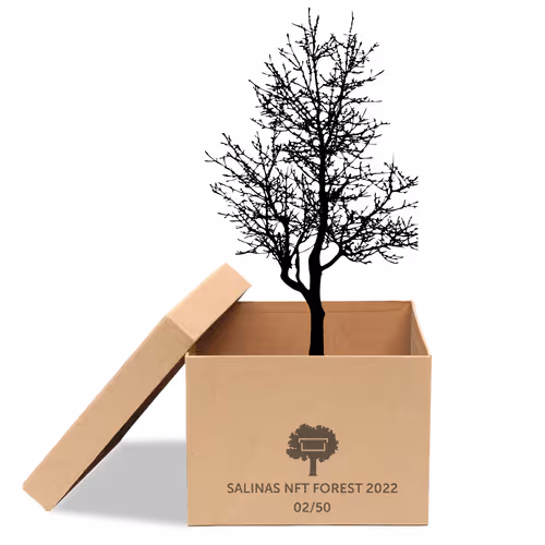 Item #63532776318757439562276927313719991273687356279339277108967620944238024327169 Media