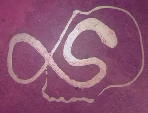 Item #72779083104083035204159854991157671306875391720900589141781584561170829803521 Media