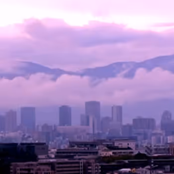 Item #21477548388787063266658748687199700189937005018840532589754440258978947530753 Media