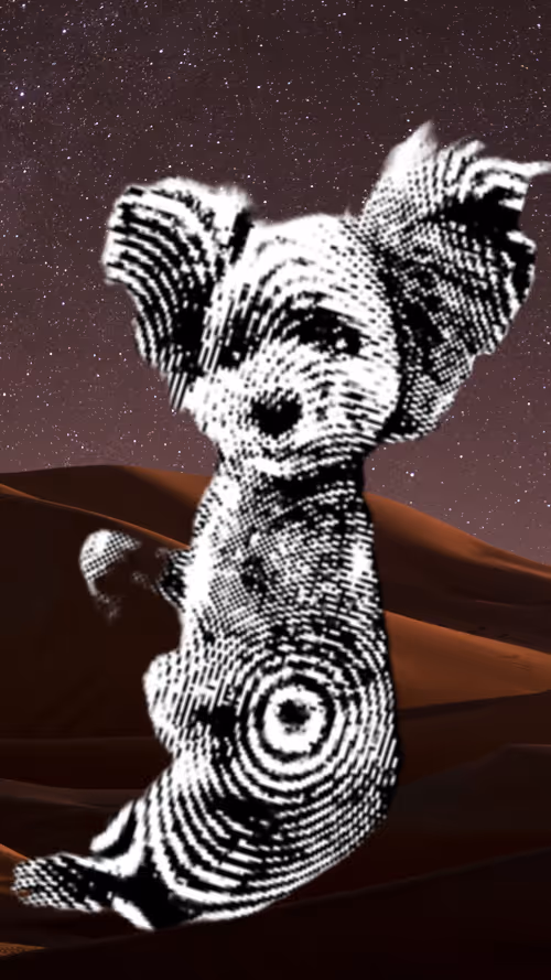 Item #50435629414903080732398685353811858649064922584428316907703266721244215508993 Media