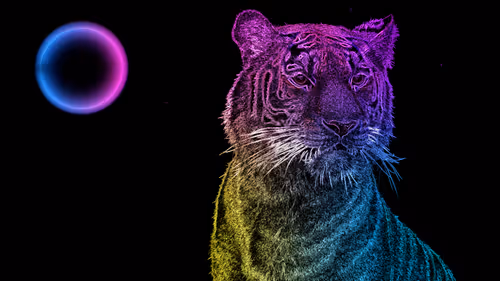 Item #44700177556079130579027571864789921161109844202338692374214745862366266654740 Media