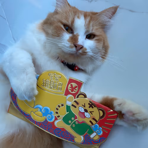 Cats Of Mine