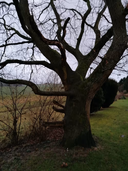 Item #105615228091736436910695968411395425794565690672177444720291627558197054668801 Media