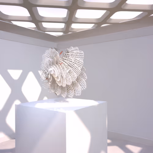 mpkoz-eth Collection - old