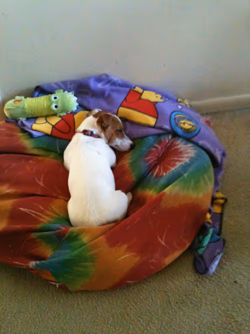 Item #5985210497355107417265215381210579199842884272282595265964883364930958393345 Media