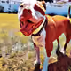 91307551665199281656640224272466346108065641774697964424936485785599603638273