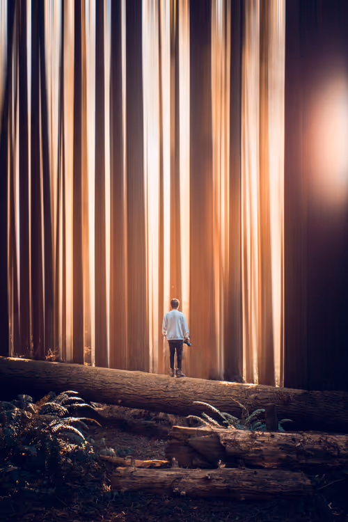 Item #28249669150142615207579555762608265536132247185199409993543532395893622833153 Media