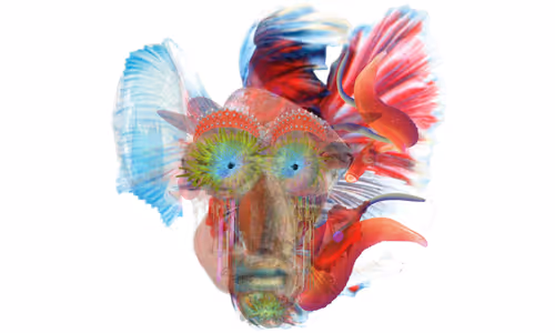 Item #495481811379815144822817045191940406025038668845752407780709898219281186817 Media