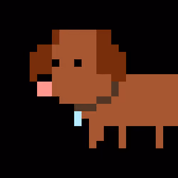 Dank Doggie 997
