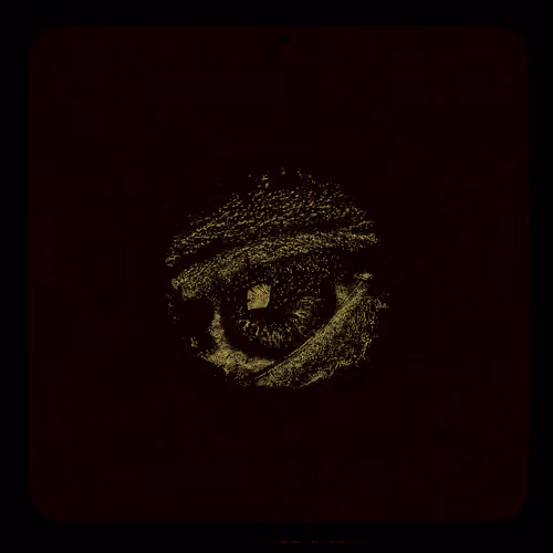 Eye #4