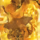 112317253935680297832694891269081493613661610675927518815052436257521948164097