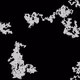 46443140435526123263349023868976142915031731050544552291035459351723286462465