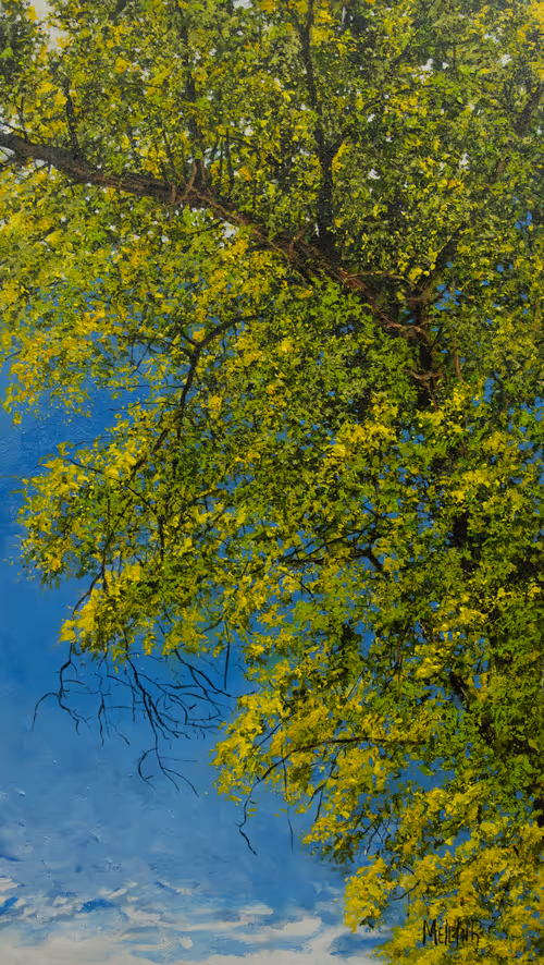 Item #110029838572198662821673087368431480016956825603177729317162674691949077725185 Media