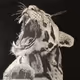 AnimalsNadiArt