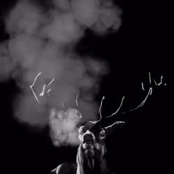 Antlers