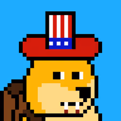 Dooggie #4239