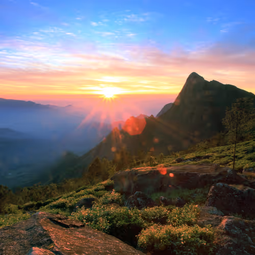 Hues of Kolukkumalai : HOK-006