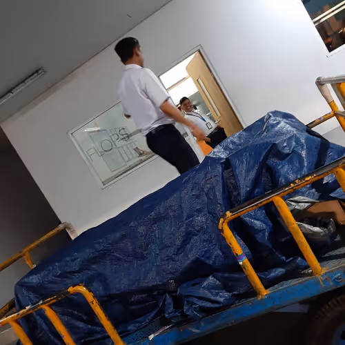 Randominez Collection