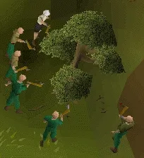 Bot Life