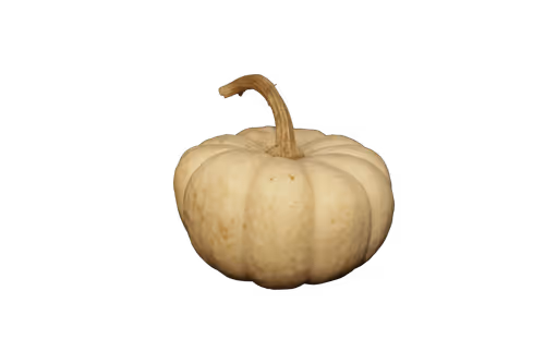 Item #35733408950682889513496686103591328439267245450055177033221291807629230735361 Media