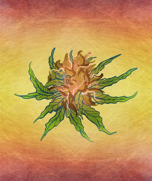 Item #88173920956366532206384104525204378846175092179682069740847406067238213517313 Media