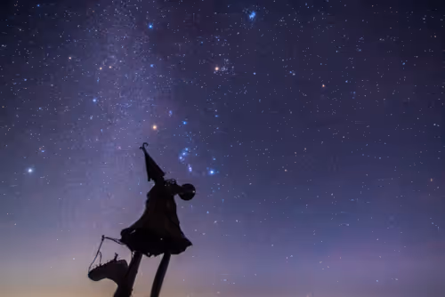 Item #108911492996146874115956011896780761878527851196280444702557873478684502917121 Media