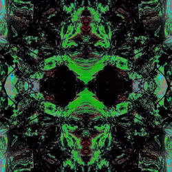 81335810380546067592074661371981709571494442828138360360358581737550753300481