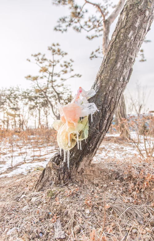 Item #56287295829887504958862107058149038286908875218999637654997635494042260209665 Media