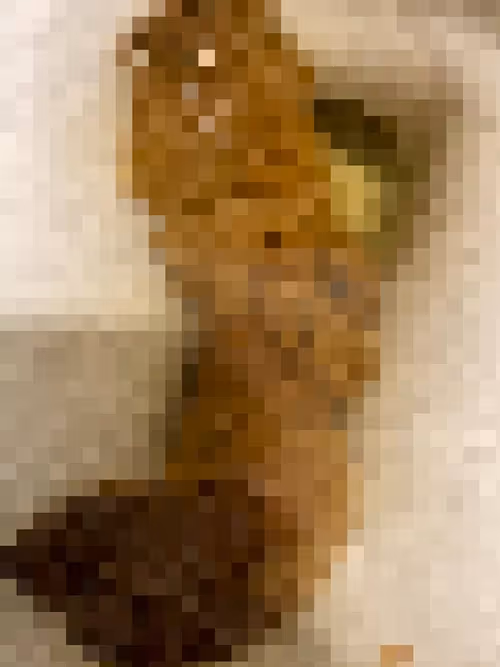 Item #2850415134272365380187775685678842410458265265709128331682257607430839992321 Media