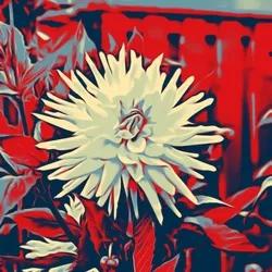 Retro Flower🌼