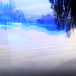 Winter Impression 