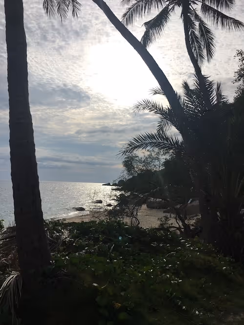 Item #40129036347338487732493830186327944618305484146391989675731997393012987527368 Media