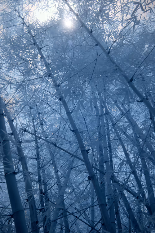 Item #84630877256389803822544637333020280854396826404545033634090050563039993790465 Media