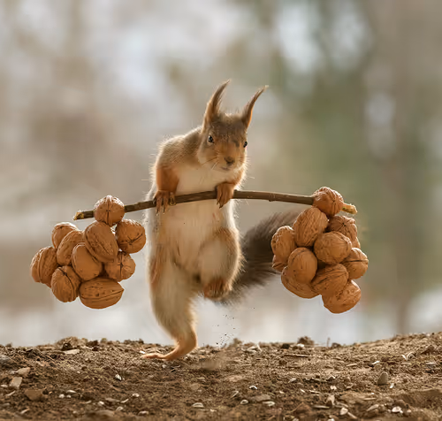 Item #96458493998531546062115655707254634590210024261233022023491835225216296943617 Media