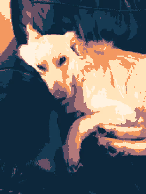 Item #67299751690678350364945569870029471193022335450417474967271699195358512939009 Media