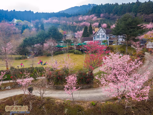 Item #100744422725674417057824683306763013505668843176654858816283483984609071333377 Media