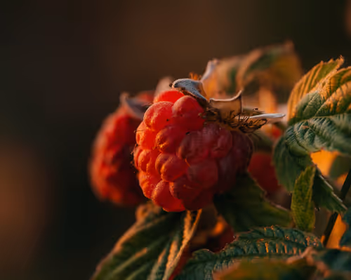 Item #81061823139377468995394777221988420303627370164908429788132638559905228259329 Media