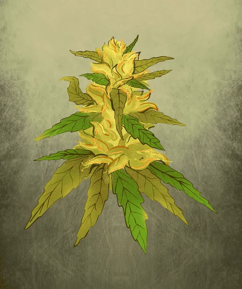 Item #88173920956366532206384104525204378846175092179682069740847406038650911195137 Media