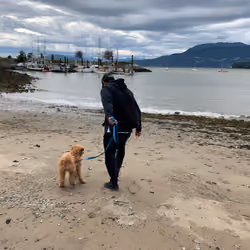 Boy and his Doooood