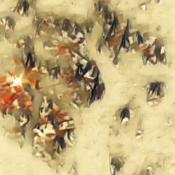 crowded