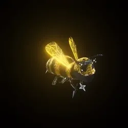 80295169786560141294720674454155553224142860465866122703603050606365182525441