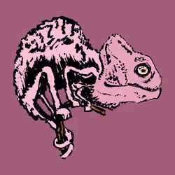 The Chameleon #2