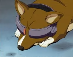 Data Dog - Hacker