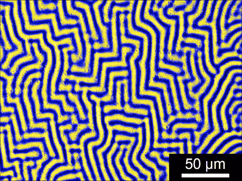 Item #88425369129469894980589771095889463825406609439564309002072926009298396381185 Media