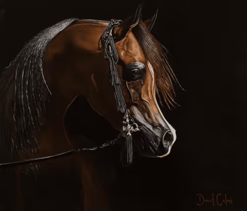 Daniel Calovi Painter