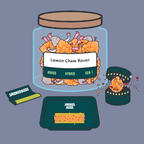 Item #28427102349536153563545748168418913926805217560172491094548342807798036299777 Media
