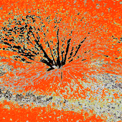 Item #38748192286267356930689689992324455160612969586483070519053316888544426328065 Media