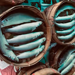 002 - China town of fisherman