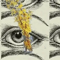 Forsythia Tree