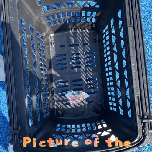 Untitled Collection #23547605